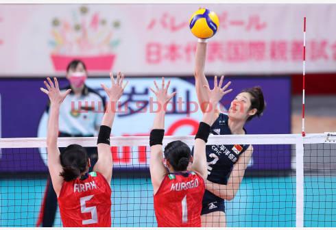 2021的中国女排队员（2021中国女排队员号码）